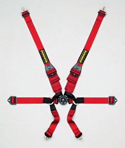 Schroth Formula II HANS Harness - TeamDI - 253 x 300 jpeg 14kB